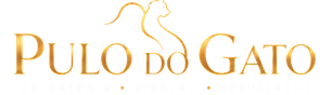 O PULO DO GATO